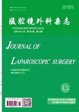 腹腔镜外科杂志杂志